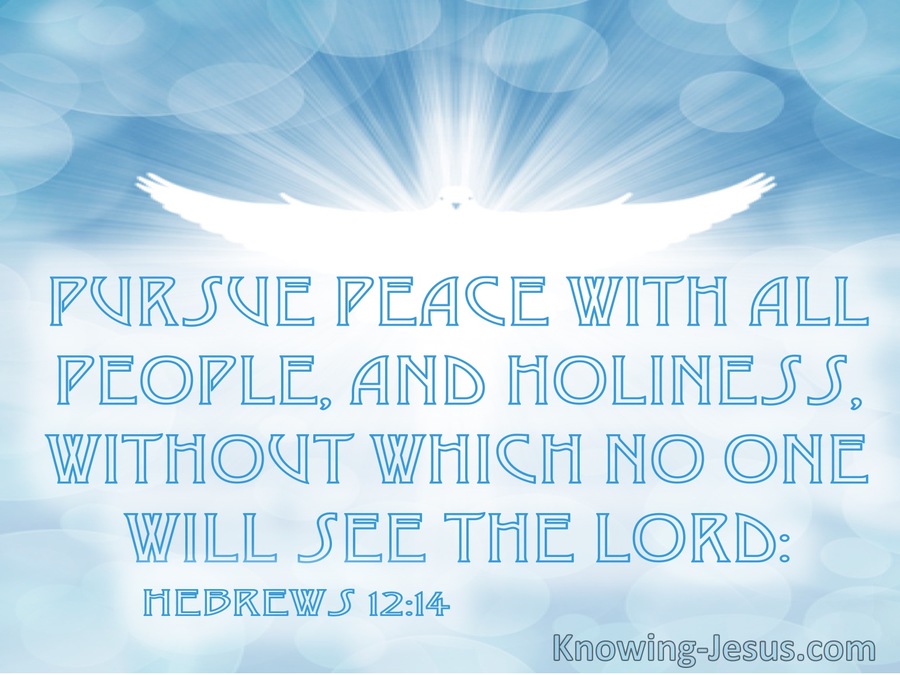 Hebrews 12:14 Pursue Peace With All People and Holiness WIthout Which No One Will See The Lord (white)